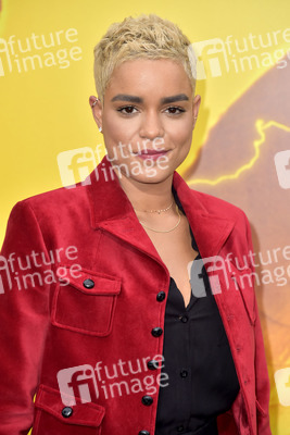 Filmpremiere 'Godzilla II - King of the Monsters' in Los Angeles