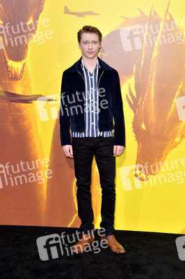 Filmpremiere 'Godzilla II - King of the Monsters' in Los Angeles