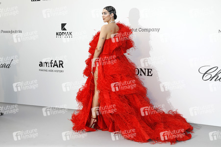 amfAR's Cinema Against Aids Gala, Cannes Film Festival 2019