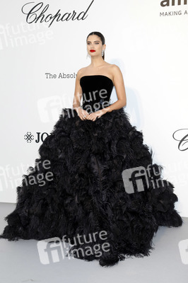 amfAR's Cinema Against Aids Gala, Cannes Film Festival 2019