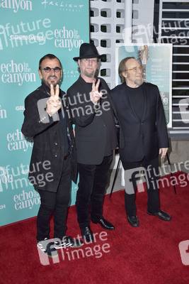 Filmpremiere 'Echo in the Canyon' in Los Angeles