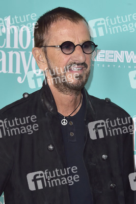 Filmpremiere 'Echo in the Canyon' in Los Angeles