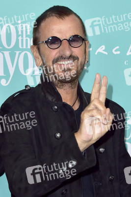 Filmpremiere 'Echo in the Canyon' in Los Angeles