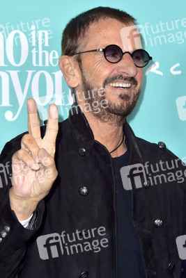 Filmpremiere 'Echo in the Canyon' in Los Angeles