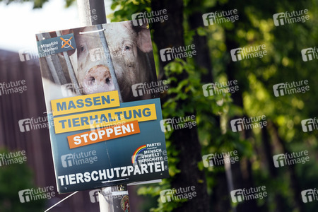 Symbolfoto Europawahl