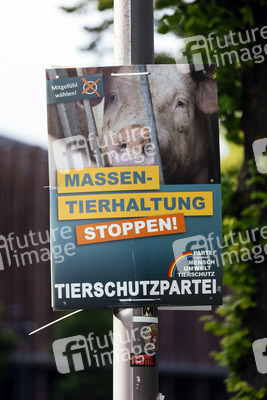 Symbolfoto Europawahl