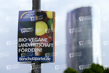 Symbolfoto Europawahl