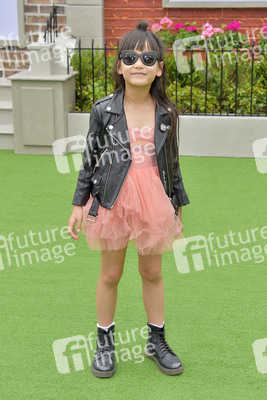 Filmpremiere 'The Secret Life of Pets 2' in Los Angeles