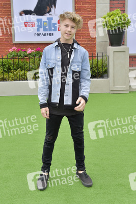 Filmpremiere 'The Secret Life of Pets 2' in Los Angeles