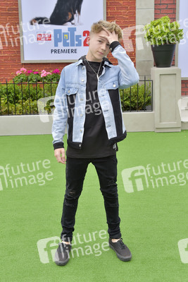 Filmpremiere 'The Secret Life of Pets 2' in Los Angeles