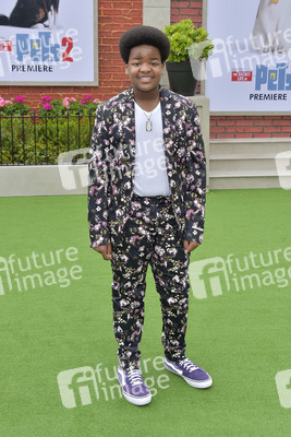 Filmpremiere 'The Secret Life of Pets 2' in Los Angeles