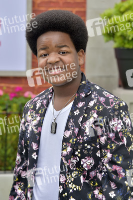 Filmpremiere 'The Secret Life of Pets 2' in Los Angeles