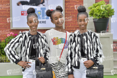 Filmpremiere 'The Secret Life of Pets 2' in Los Angeles