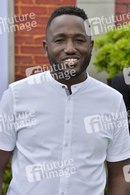 Filmpremiere 'The Secret Life of Pets 2' in Los Angeles