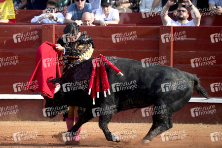 Letzter öffentlicher Auftritt von Juan Carlos I. beim Stierkampf in Aranjuez