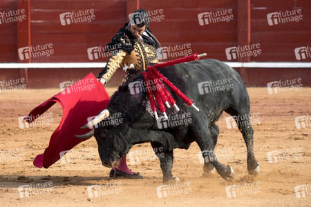 Letzter öffentlicher Auftritt von Juan Carlos I. beim Stierkampf in Aranjuez