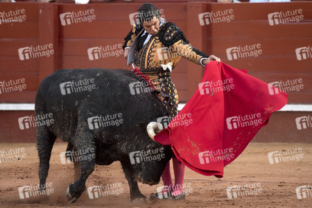 Letzter öffentlicher Auftritt von Juan Carlos I. beim Stierkampf in Aranjuez