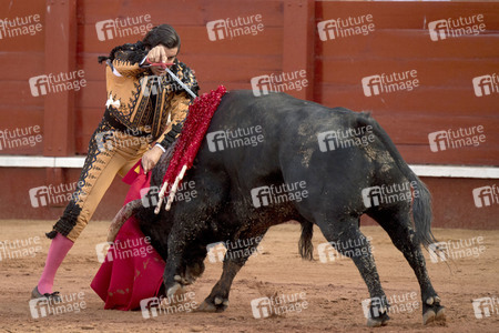 Letzter öffentlicher Auftritt von Juan Carlos I. beim Stierkampf in Aranjuez