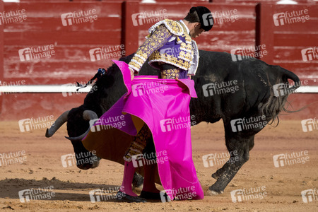 Letzter öffentlicher Auftritt von Juan Carlos I. beim Stierkampf in Aranjuez