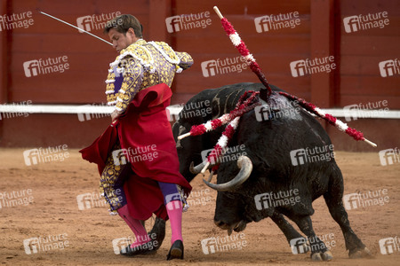 Letzter öffentlicher Auftritt von Juan Carlos I. beim Stierkampf in Aranjuez