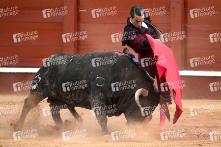 Letzter öffentlicher Auftritt von Juan Carlos I. beim Stierkampf in Aranjuez