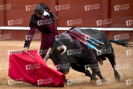 Letzter öffentlicher Auftritt von Juan Carlos I. beim Stierkampf in Aranjuez