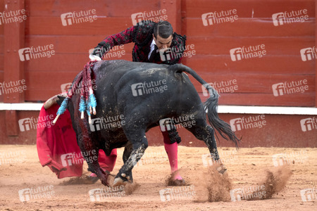Letzter öffentlicher Auftritt von Juan Carlos I. beim Stierkampf in Aranjuez