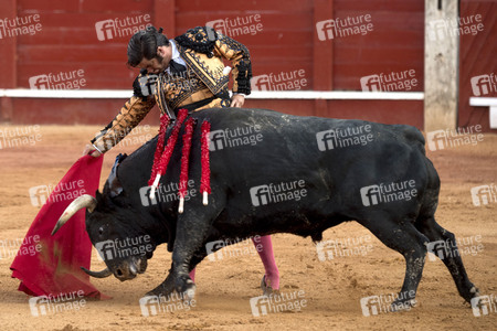 Letzter öffentlicher Auftritt von Juan Carlos I. beim Stierkampf in Aranjuez