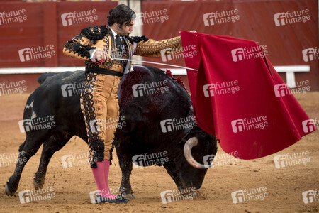 Letzter öffentlicher Auftritt von Juan Carlos I. beim Stierkampf in Aranjuez