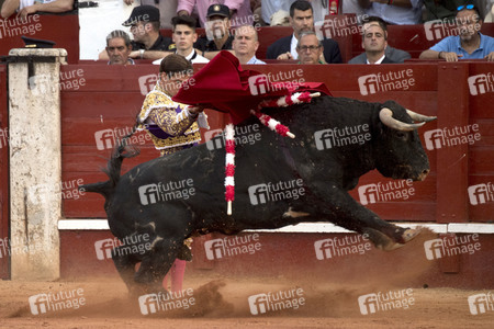 Letzter öffentlicher Auftritt von Juan Carlos I. beim Stierkampf in Aranjuez