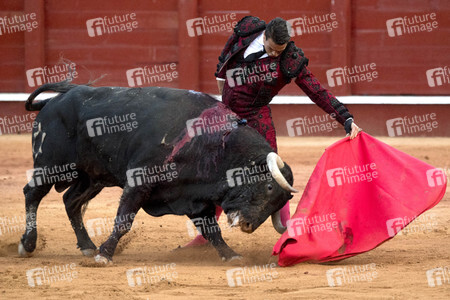 Letzter öffentlicher Auftritt von Juan Carlos I. beim Stierkampf in Aranjuez