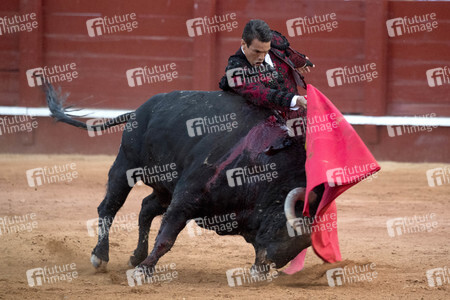 Letzter öffentlicher Auftritt von Juan Carlos I. beim Stierkampf in Aranjuez