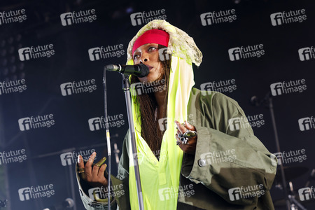 Konzert von Erykah Badu in Köln