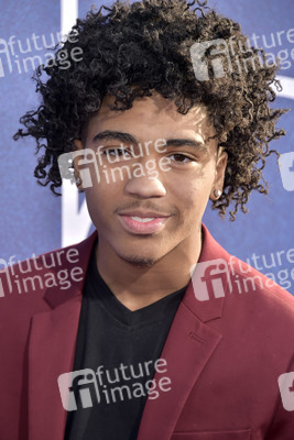 Serienpremiere 'Euphoria' in Los Angeles