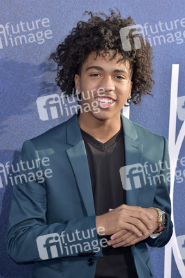 Serienpremiere 'Euphoria' in Los Angeles
