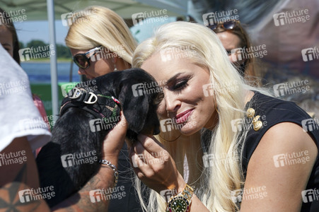 Daniela Katzenberger eröffnet eine schwimmende Hundewiese in Düsseldorf