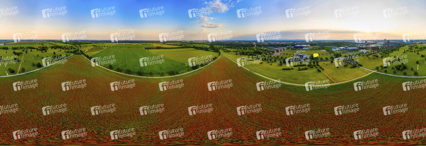 Mohnfelder am Kronsberg in Hannover