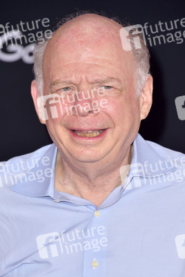 Filmpremiere 'Toy Story 4' in Los Angeles