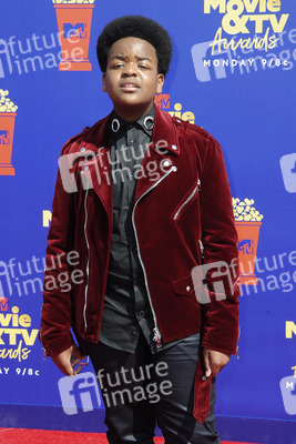 MTV Movie & TV Awards 2019 in Los Angeles