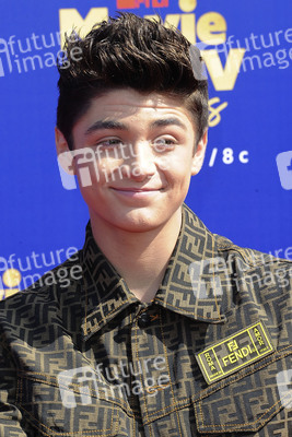 MTV Movie & TV Awards 2019 in Los Angeles