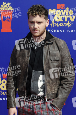 MTV Movie & TV Awards 2019 in Los Angeles