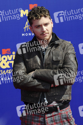 MTV Movie & TV Awards 2019 in Los Angeles