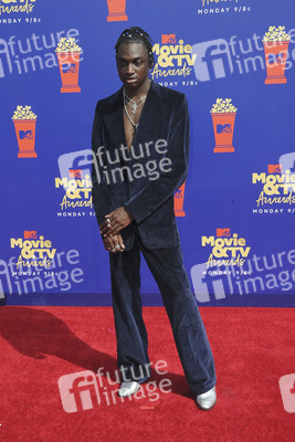 MTV Movie & TV Awards 2019 in Los Angeles