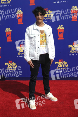 MTV Movie & TV Awards 2019 in Los Angeles
