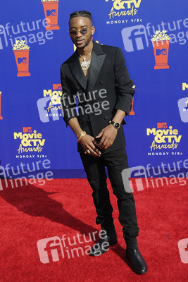 MTV Movie & TV Awards 2019 in Los Angeles