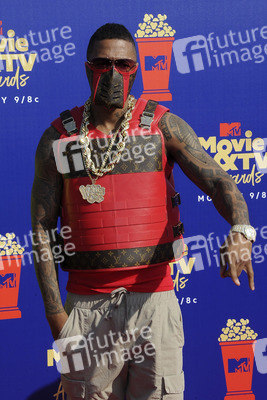 MTV Movie & TV Awards 2019 in Los Angeles