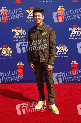 MTV Movie & TV Awards 2019 in Los Angeles