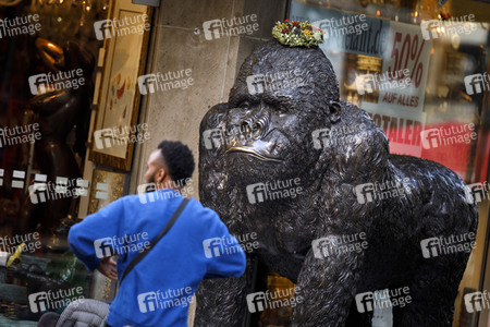 Symbolfoto Evolution