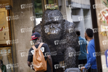 Symbolfoto Evolution