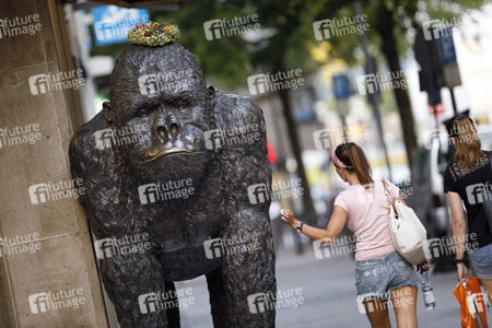 Symbolfoto Evolution